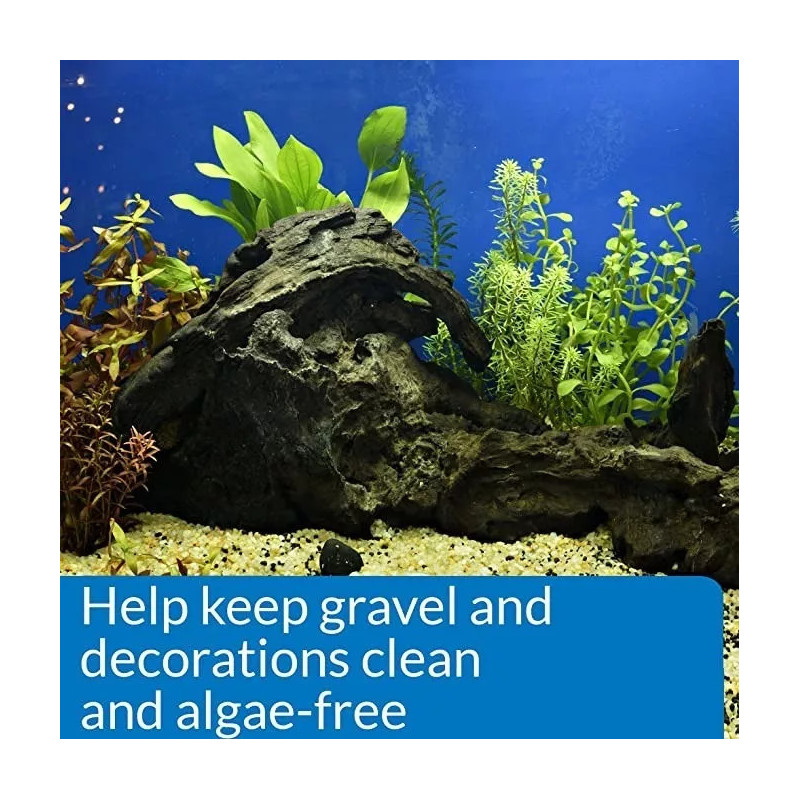 Comida Para Peces, 60 Cápsulas De Bacterias Nitrificantes